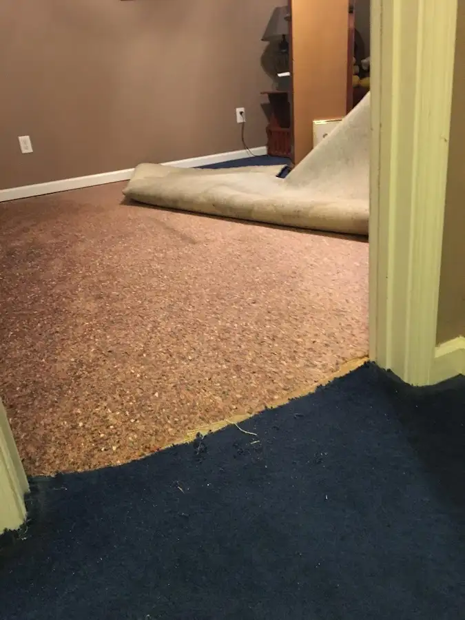 Carpet pad removal revealing water damage during Drying & Dehumidification in Dumont