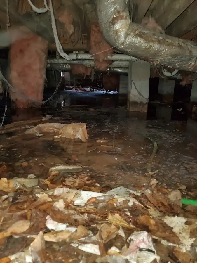 Crawl space flood assessment for Leak Detection & Repair in Dumont