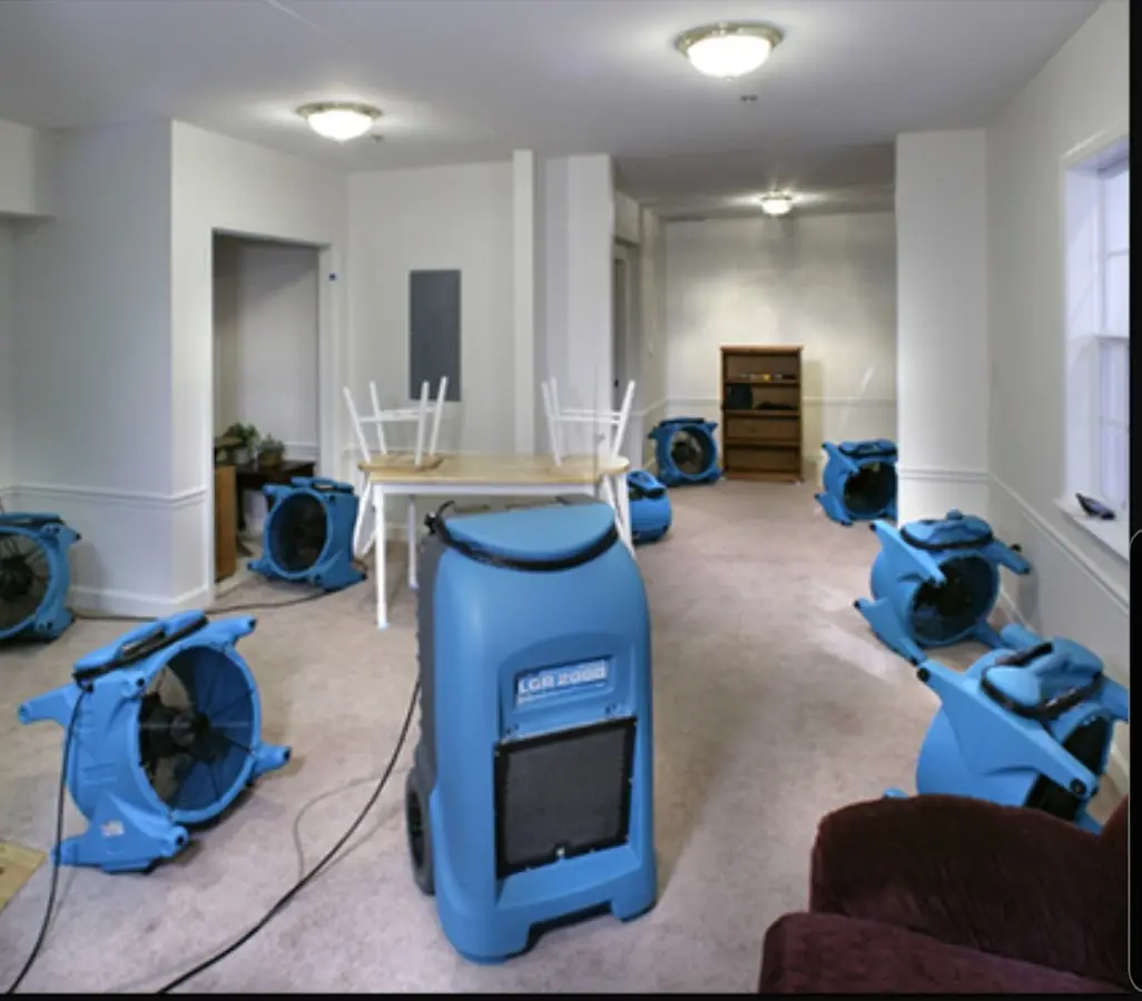 Air movers and dehumidifier setup for Water Extraction & Removal in Dumont